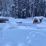 Chalet Sozzine *
